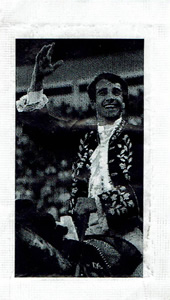 Cavaleiro João Salgueiro da Costa