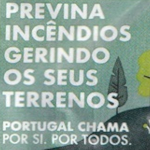 Icon Série